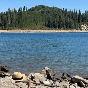 Meet your Posher, Vee